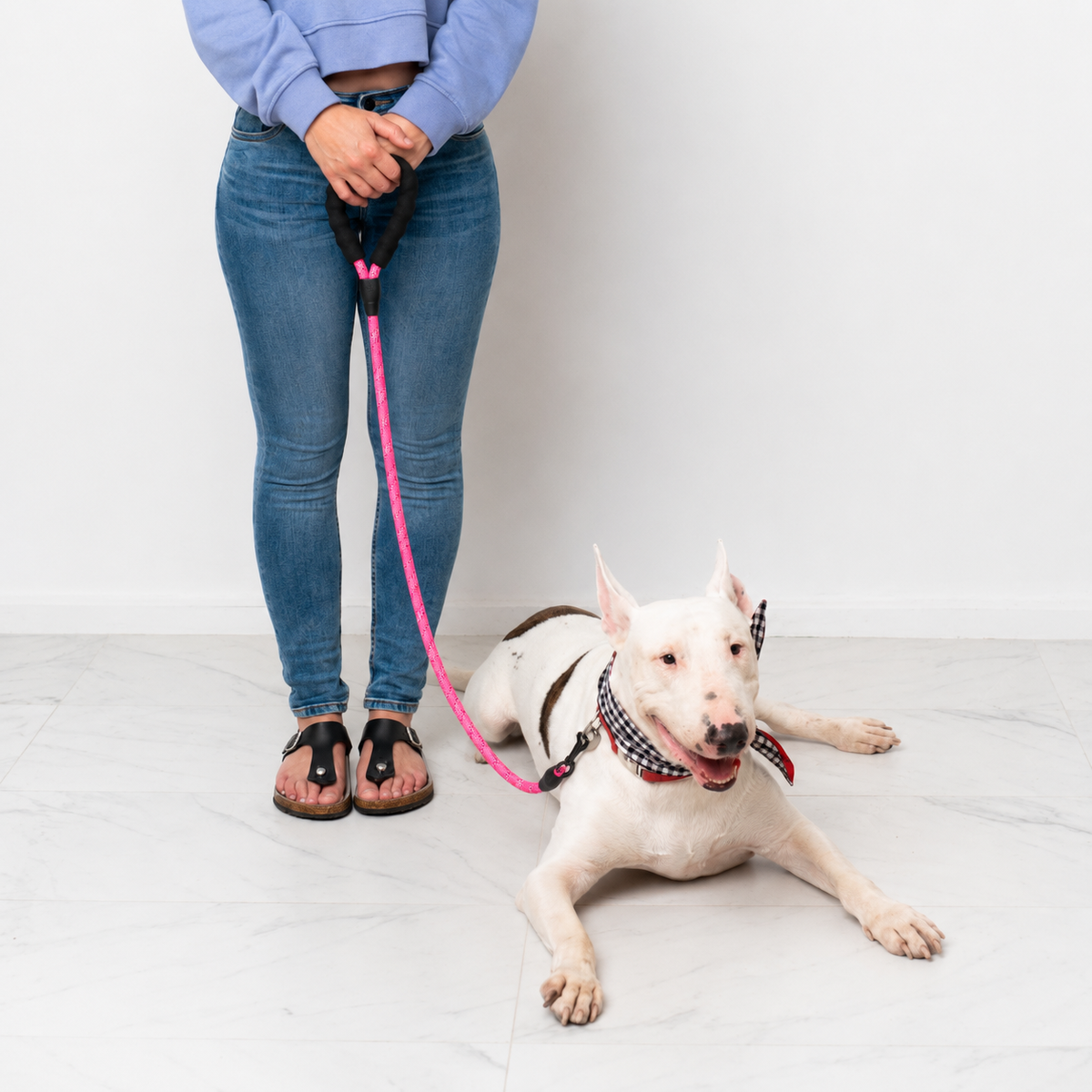 Reflective Rope Lead