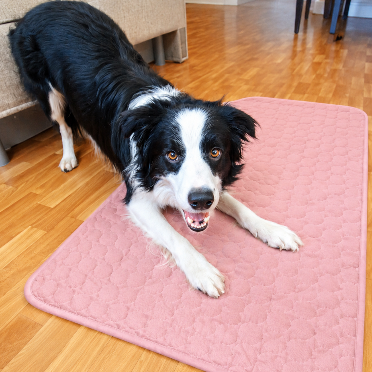 CosyPaw Cooling Mat