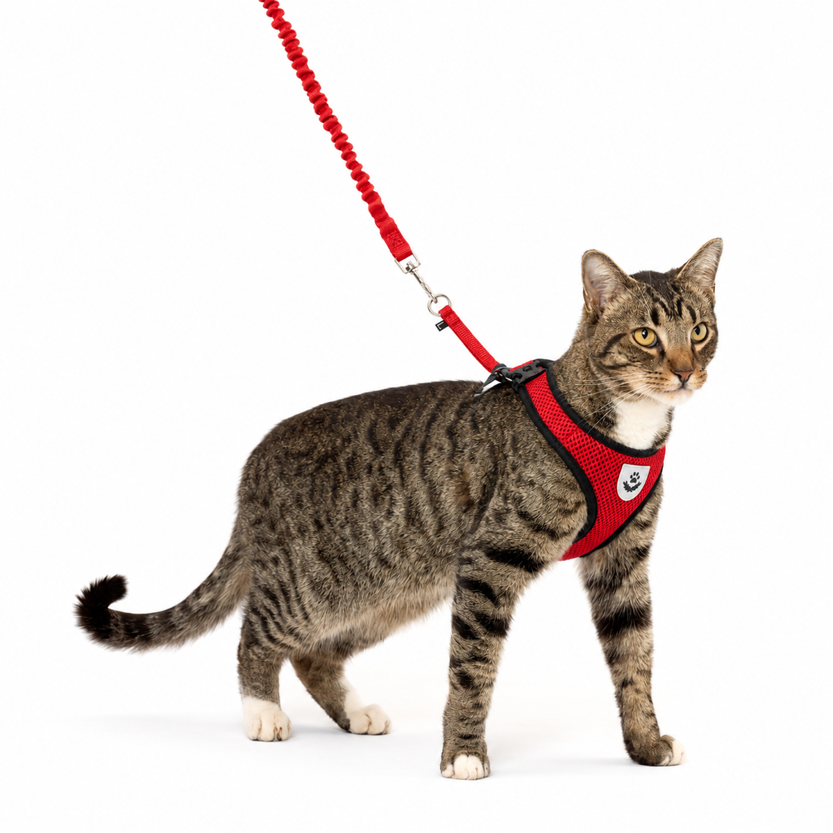 CosyPaw Harness & Lead Set