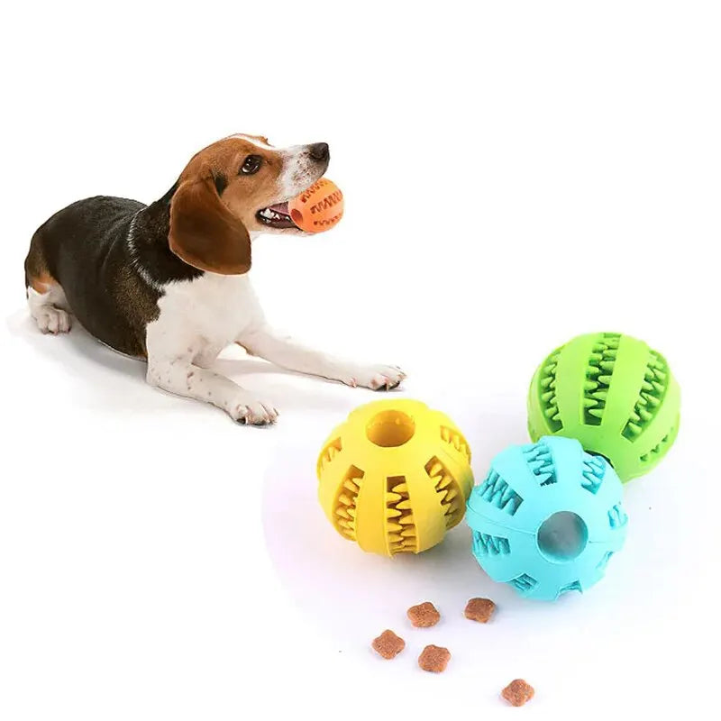 Puzzle Ball Feeder