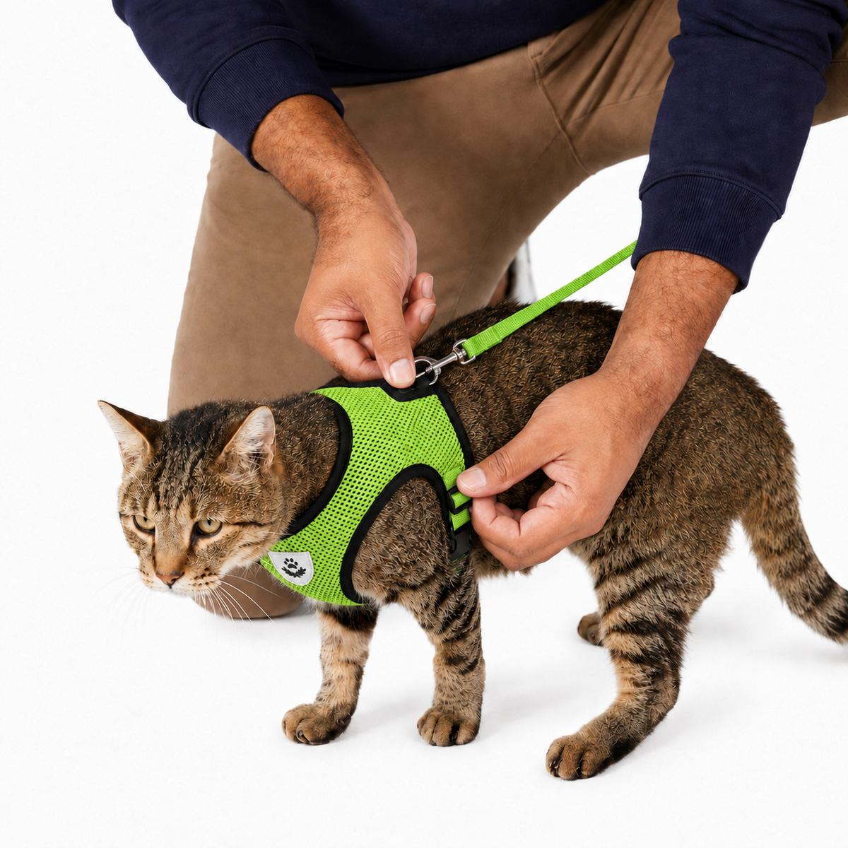 CosyPaw Harness & Lead Set