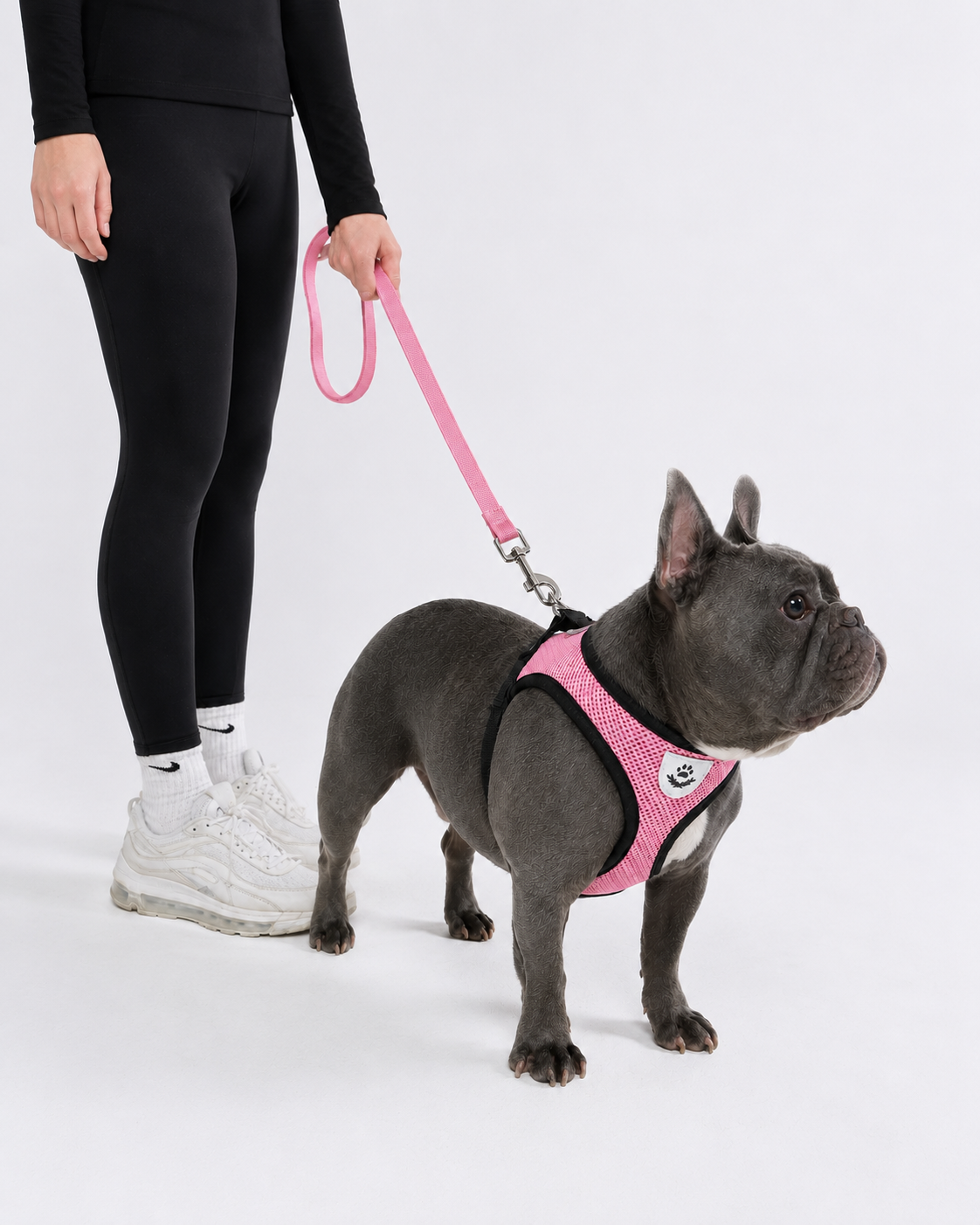 CosyPaw Harness & Lead Set