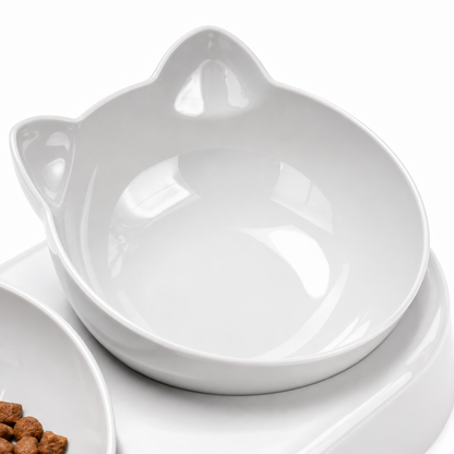 Orthopedic Pet Bowl Bundle