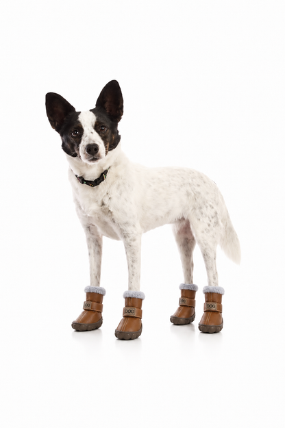 CosyPaw Dog Boots