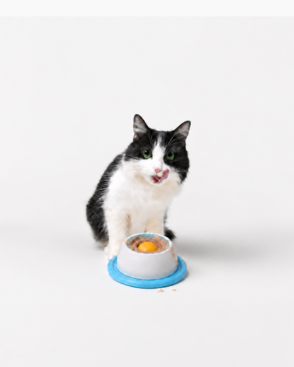 Interactive Lick Bowl
