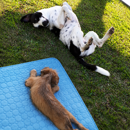 CosyPaw Cooling Mat
